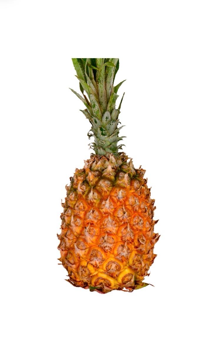 Ananas sht kichik